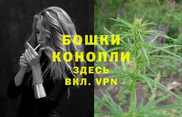 PSILOCYBIN Алзамай