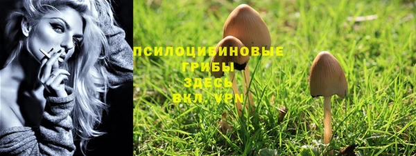 эйфоретик Абаза
