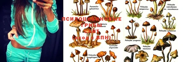марки lsd Абдулино