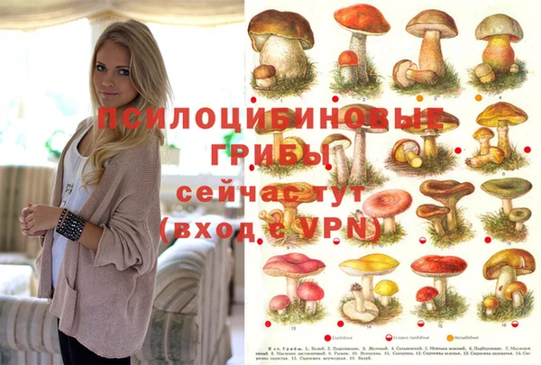 эйфоретик Абаза
