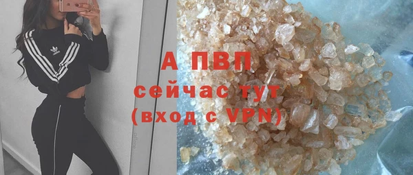 спиды Новодвинск