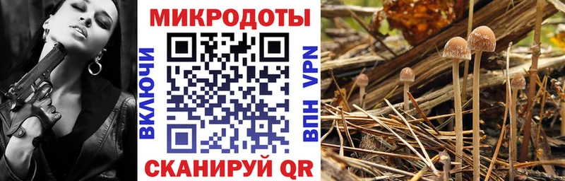 Псилоцибиновые грибы мицелий  это телеграм  Среднеколымск  закладка 